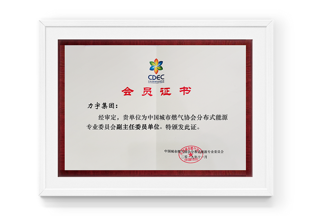 Avalia&ccedil;&atilde;o da unidade de vice -presidente do Comit&ecirc; Profissional de Energia Distribu&iacute;do da China Urban Gas Association
