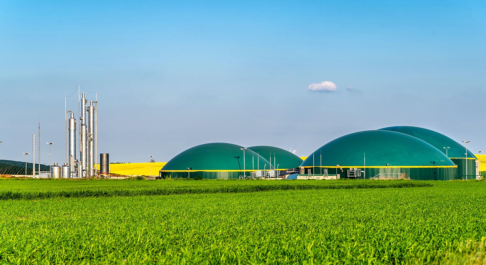 Biogas Energy Solutions