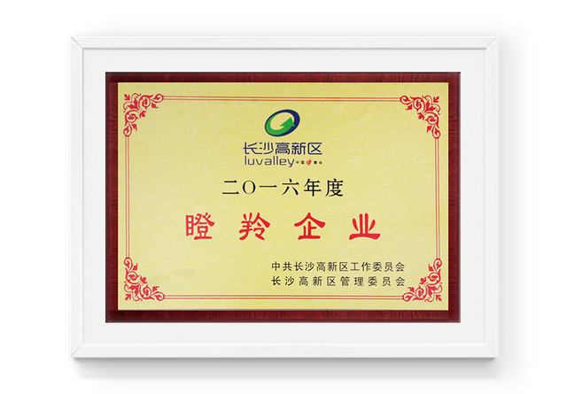 2016 Gazelle Enterprise em Changsha High Tech Zone