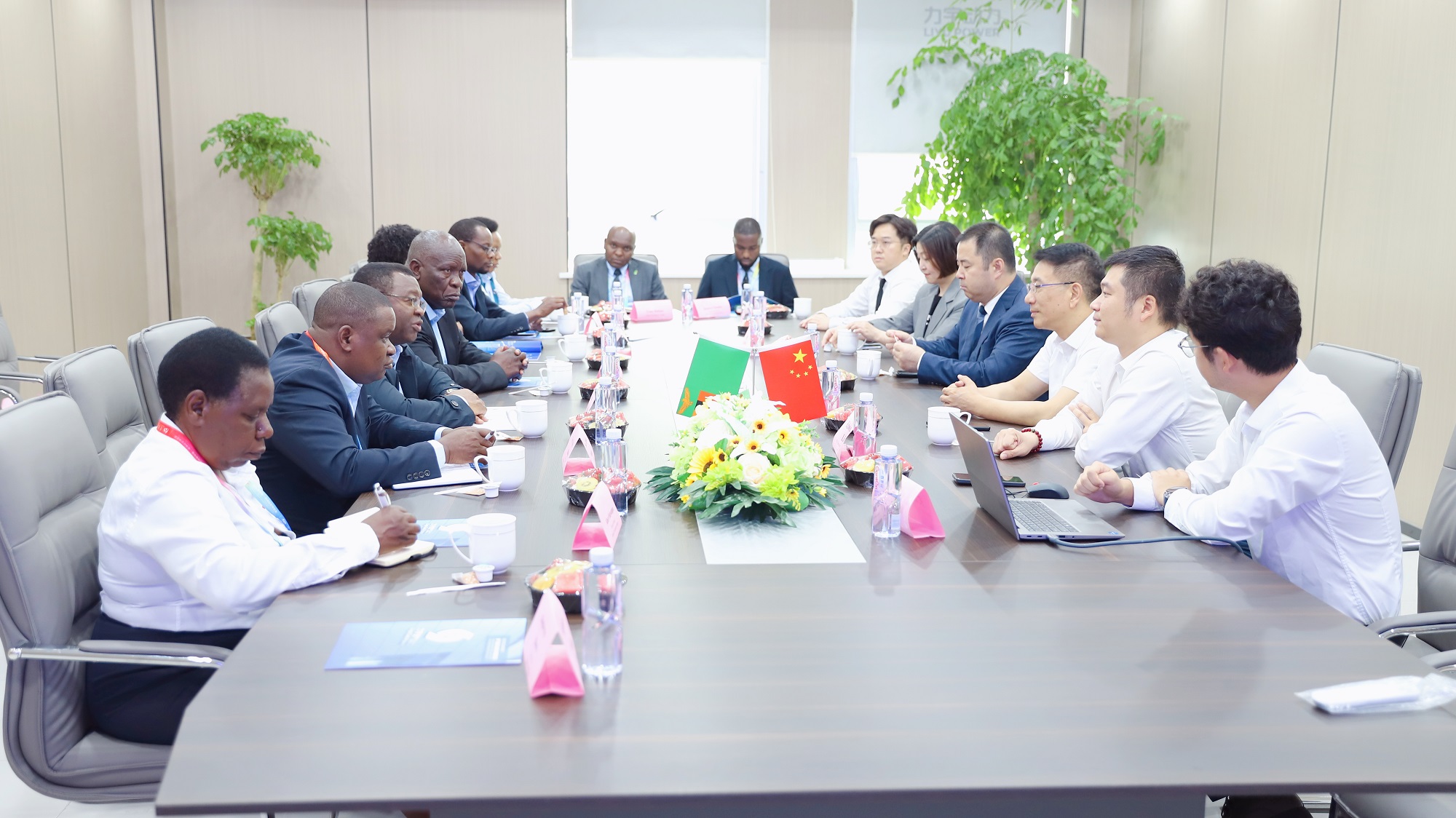 10. Discuss&atilde;o comercial com a delega&ccedil;&atilde;o da Z&acirc;mbia