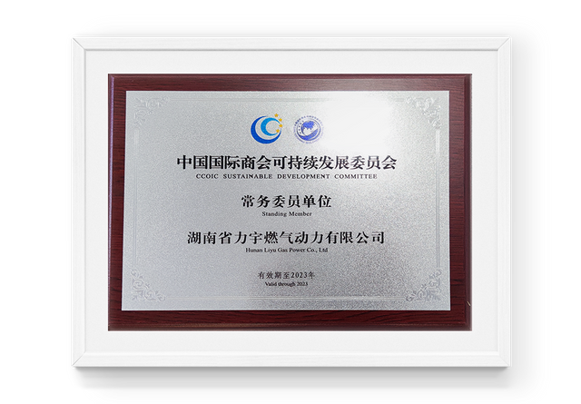 Avalia&ccedil;&atilde;o da Unidade Membro do Comit&ecirc; Executivo do Comit&ecirc; de Desenvolvimento Sustent&aacute;vel da C&acirc;mara de Com&eacute;rcio Internacional da China